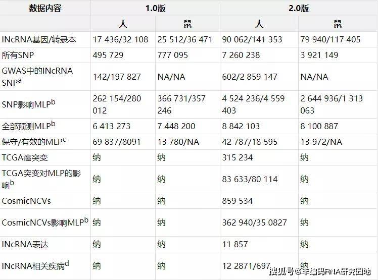 2024正版资料大全好彩网,实地评估数据方案_娱乐版305.210